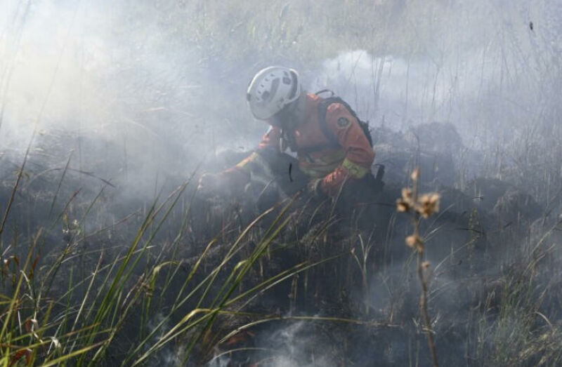 Imagem ilustrativa da matéria Decreto de emergência ambiental reforça preparação do Governo de MS para enfrentamento a incêndios florestais