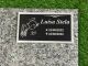 Imagem adicional 0 do item Placa ACM 043 - 23cm x 13cm (anjinho)