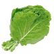 Imagem adicional 2 do item Cebola