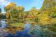 Imagem adicional 3 do item Jardins do Monet (Giverny)