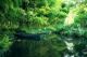Imagem adicional 6 do item Jardins do Monet (Giverny)