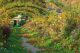 Imagem adicional 9 do item Jardins do Monet (Giverny)