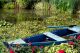 Imagem adicional 11 do item Jardins do Monet (Giverny)