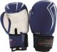 Imagem adicional 1 do item Luva para Artes Marciais PRO FIGHT 12 OZ - Modelo I