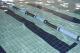 Imagem adicional 1 do item Raia para Piscina em E.V.A.