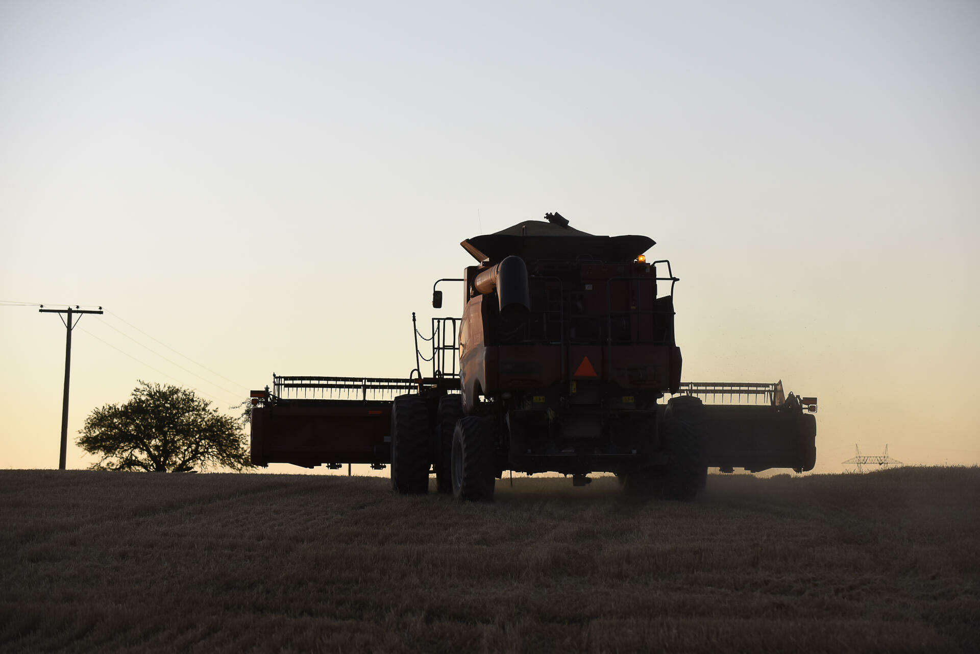 Imagem da Linha Amendoim