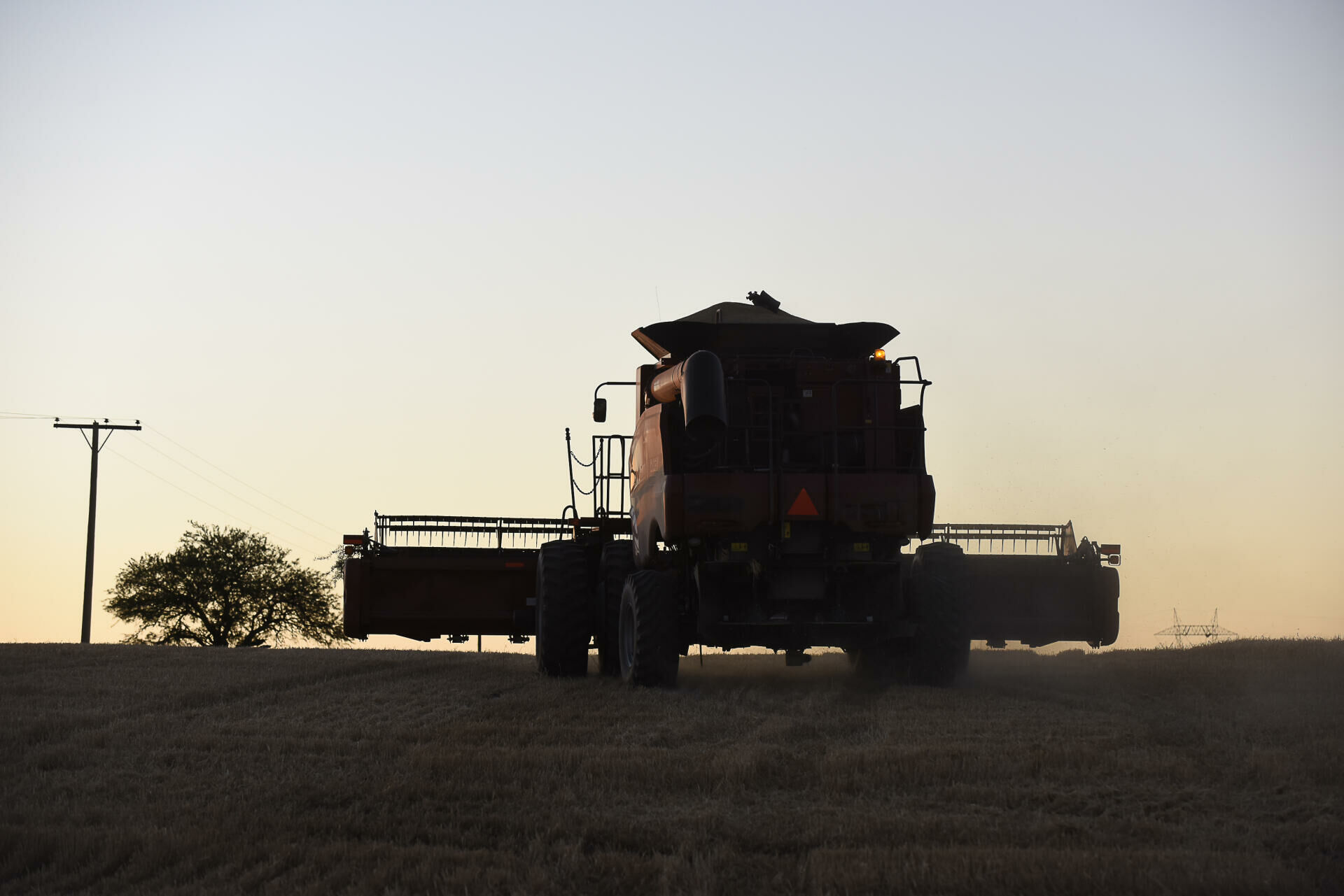 Imagem da Linha Amendoim