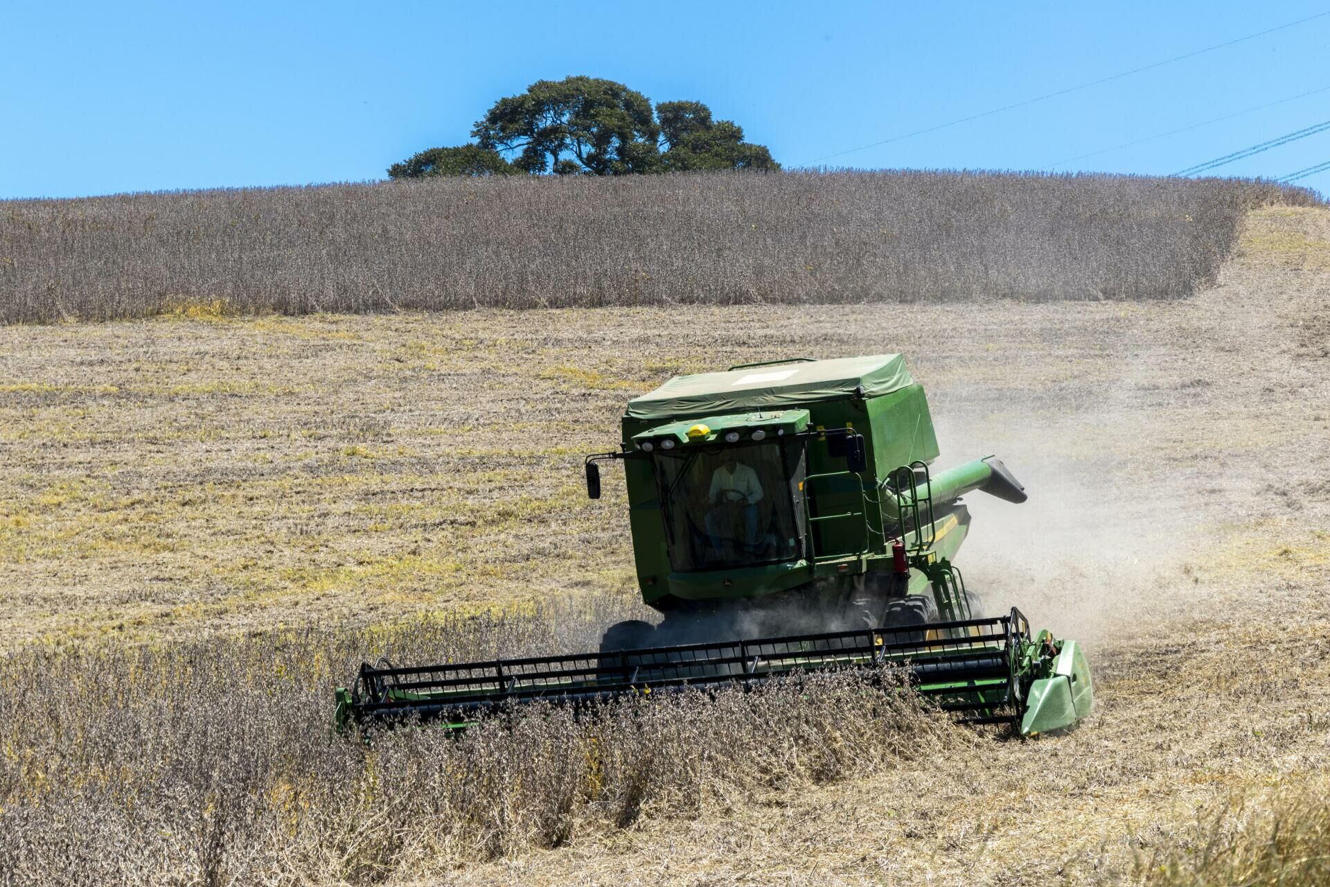 Imagem da Linha Grãos