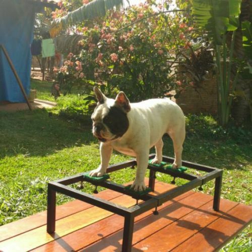 Imagem de https://cdn.interago.com.br/img/jpg/w_0_q_8/144/mc/Catalogo/14