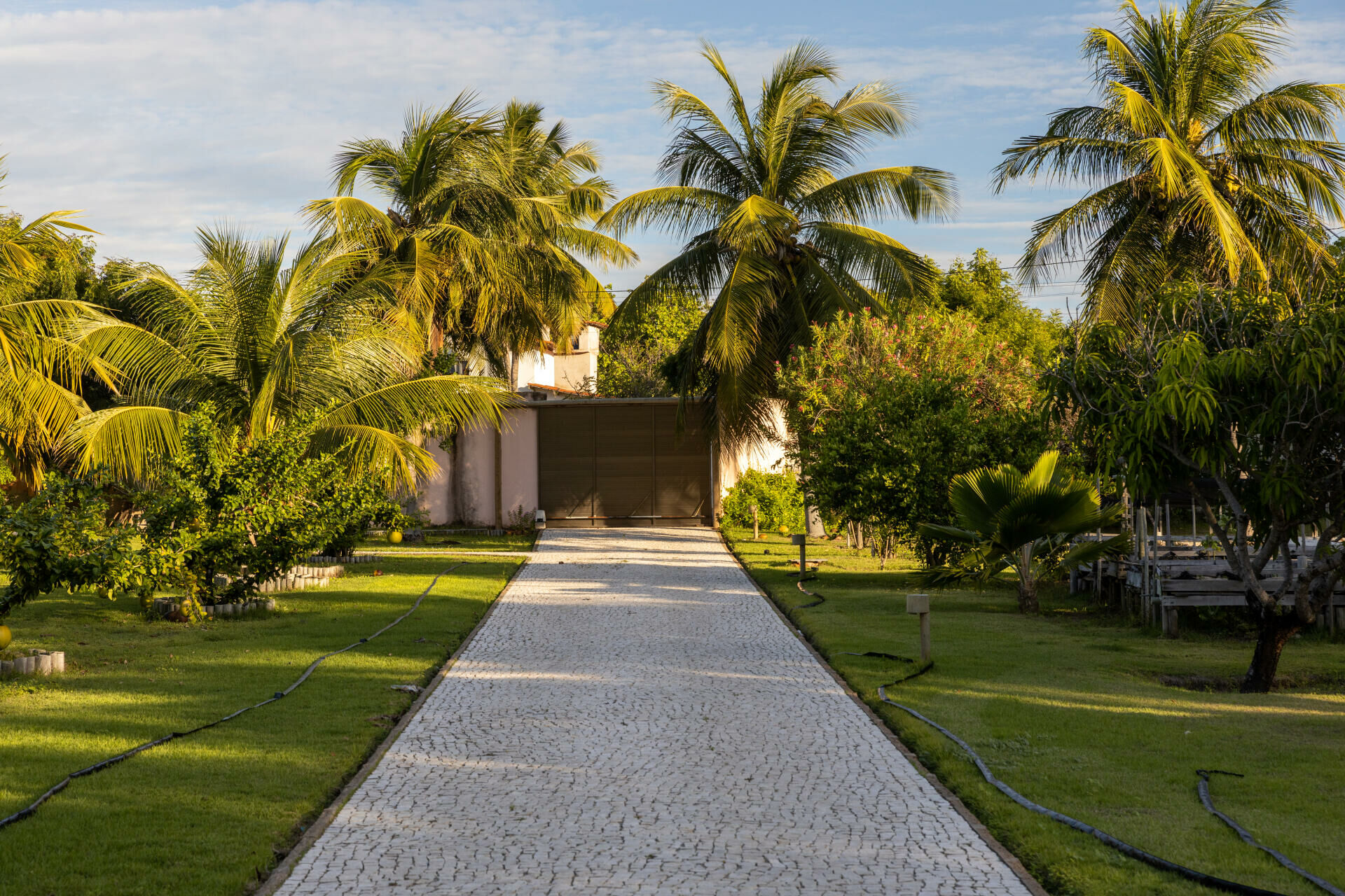 Imagem de Grande propriedade, única em Pontal do Maceió