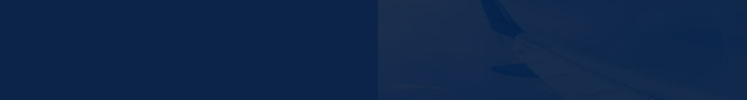 Imagem breadcrumb - Foto da asa de um avi%C3%A3o durante voo