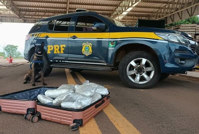 Imagem de compartilhamento para o artigo Durante fiscalização em ônibus, PRF apreende 10,4 kg de skunk em Terenos da MS Todo dia
