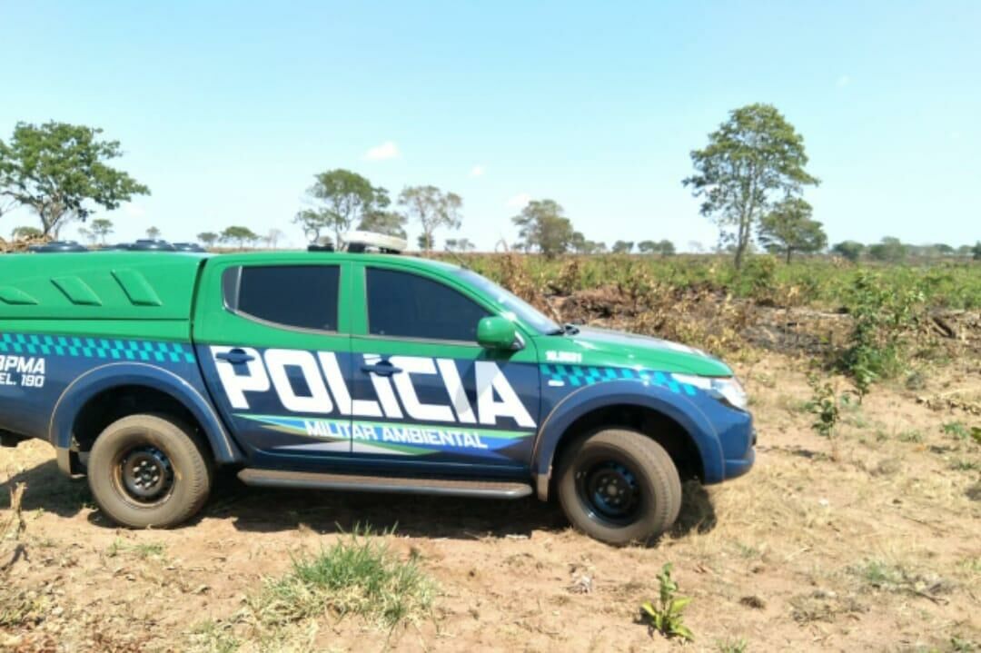 Imagem de compartilhamento para o artigo Polícia Ambiental de Costa Rica autua proprietário por queima ilegal de material lenhoso em Camapuã-MS da MS Todo dia