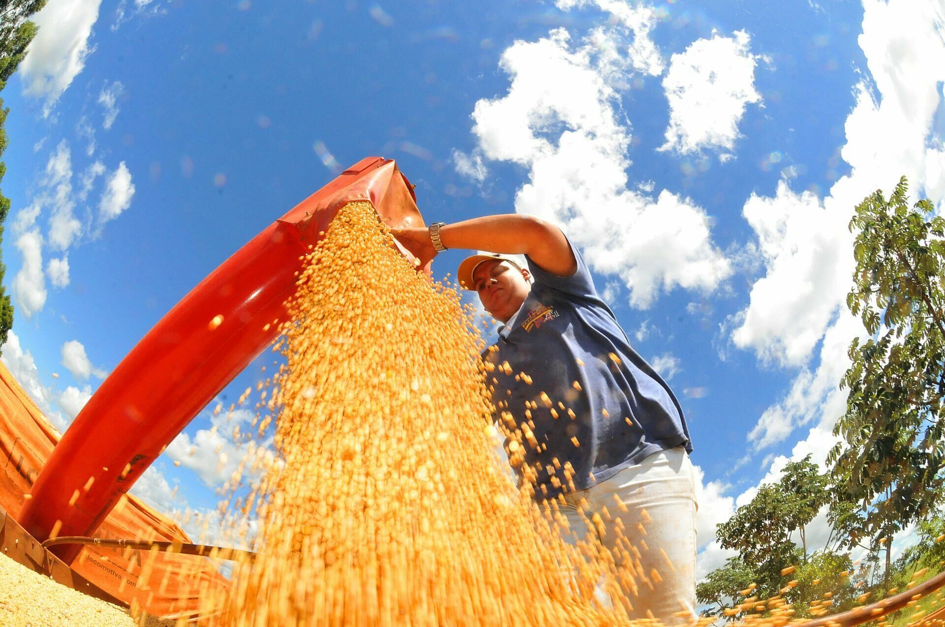 Imagem de compartilhamento para o artigo Exportações de MS tiveram aumento de 25% no primeiro bimestre e superávit ultrapassa US$ 836 milhões da MS Todo dia