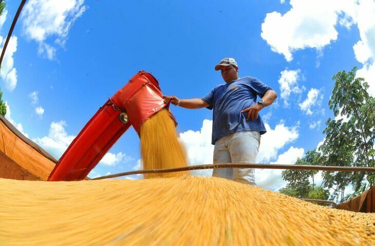 Imagem de compartilhamento para o artigo Em MS, exportações crescem 17,4% em janeiro com destaque para celulose, soja e minério de ferro da MS Todo dia