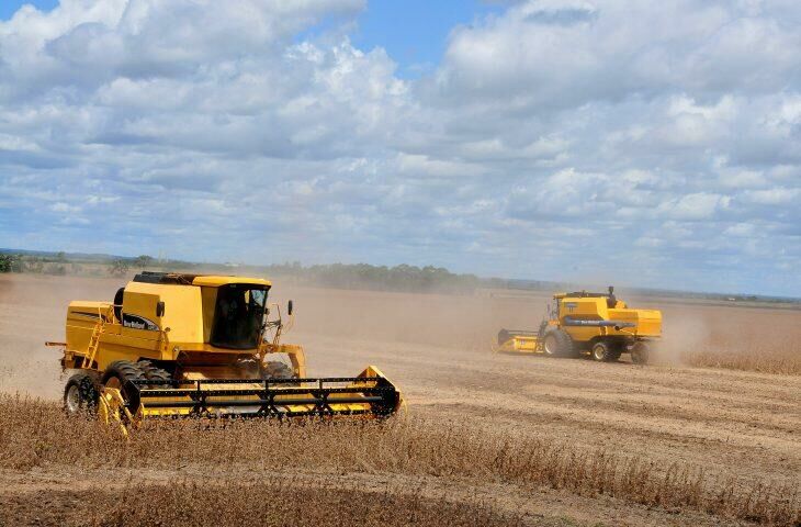 Imagem de compartilhamento para o artigo Costa Rica se destaca entre municípios mais ricos do agronegócio em MS e do Brasil da MS Todo dia