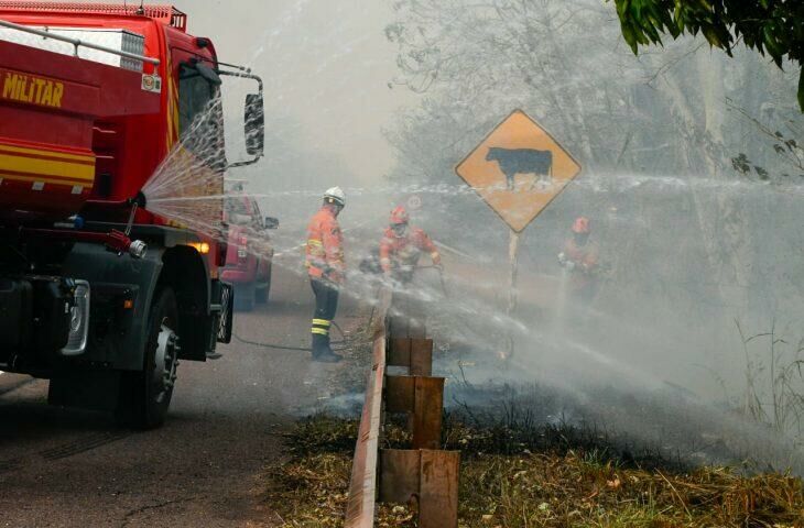 Imagem de compartilhamento para o artigo Chuva chega ao Pantanal e ajuda a controlar incêndios florestais em MS da MS Todo dia