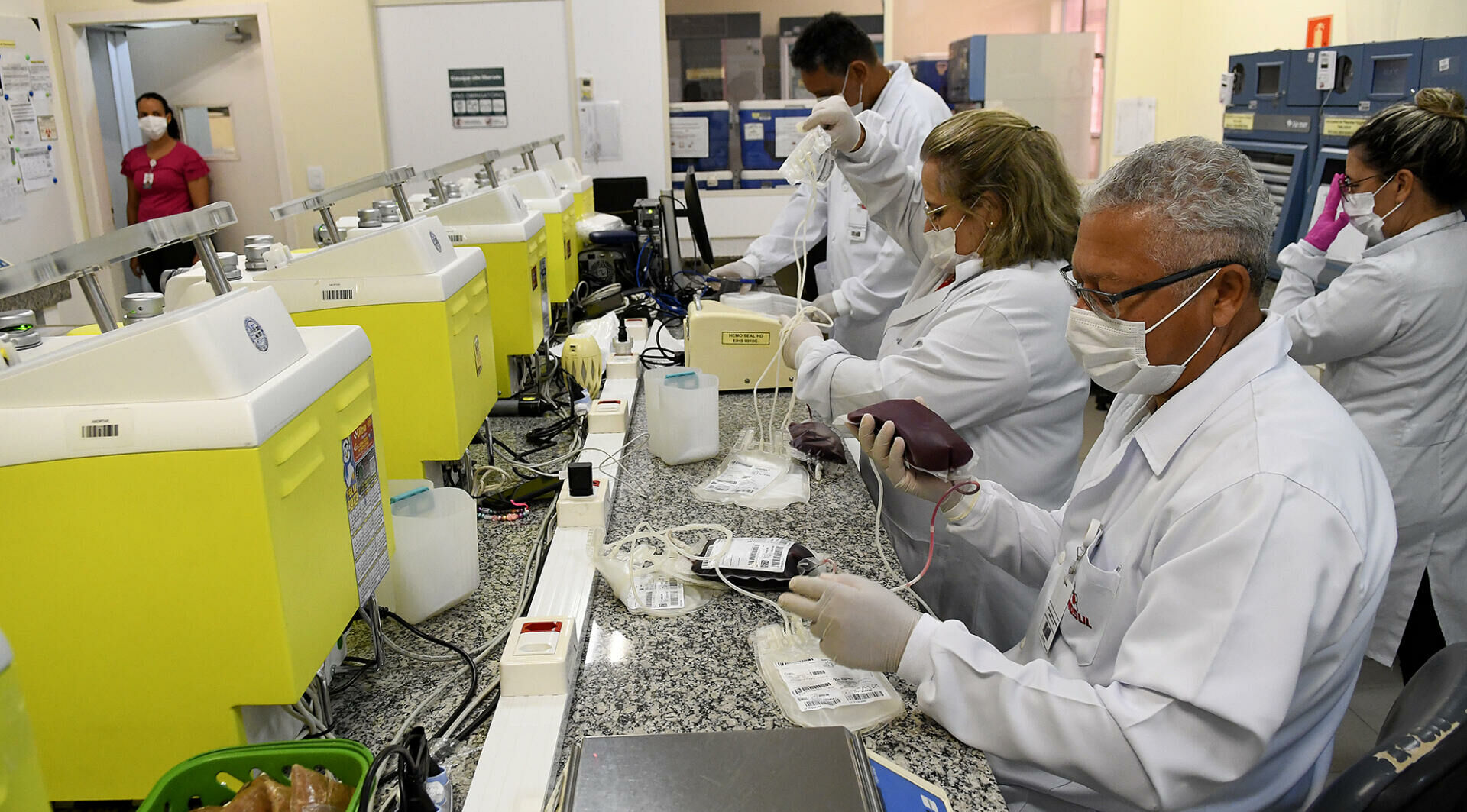 Imagem de compartilhamento para o artigo Hemosul lança produtos digitais para facilitar acesso de doador de sangue em MS da MS Todo dia