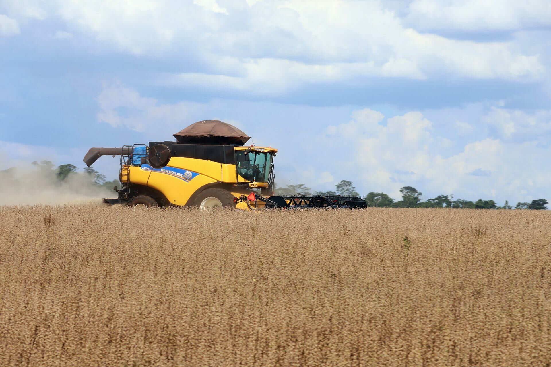 Imagem de compartilhamento para o artigo MS teve o maior crescimento do PIB do agronegócio do país da MS Todo dia