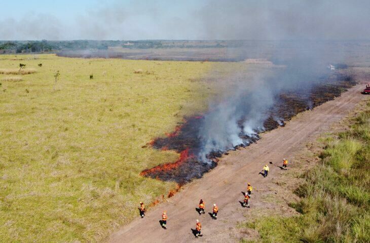 Imagem de compartilhamento para o artigo Governo de MS altera decreto de emergência ambiental, facilitando execução de aceiros da MS Todo dia