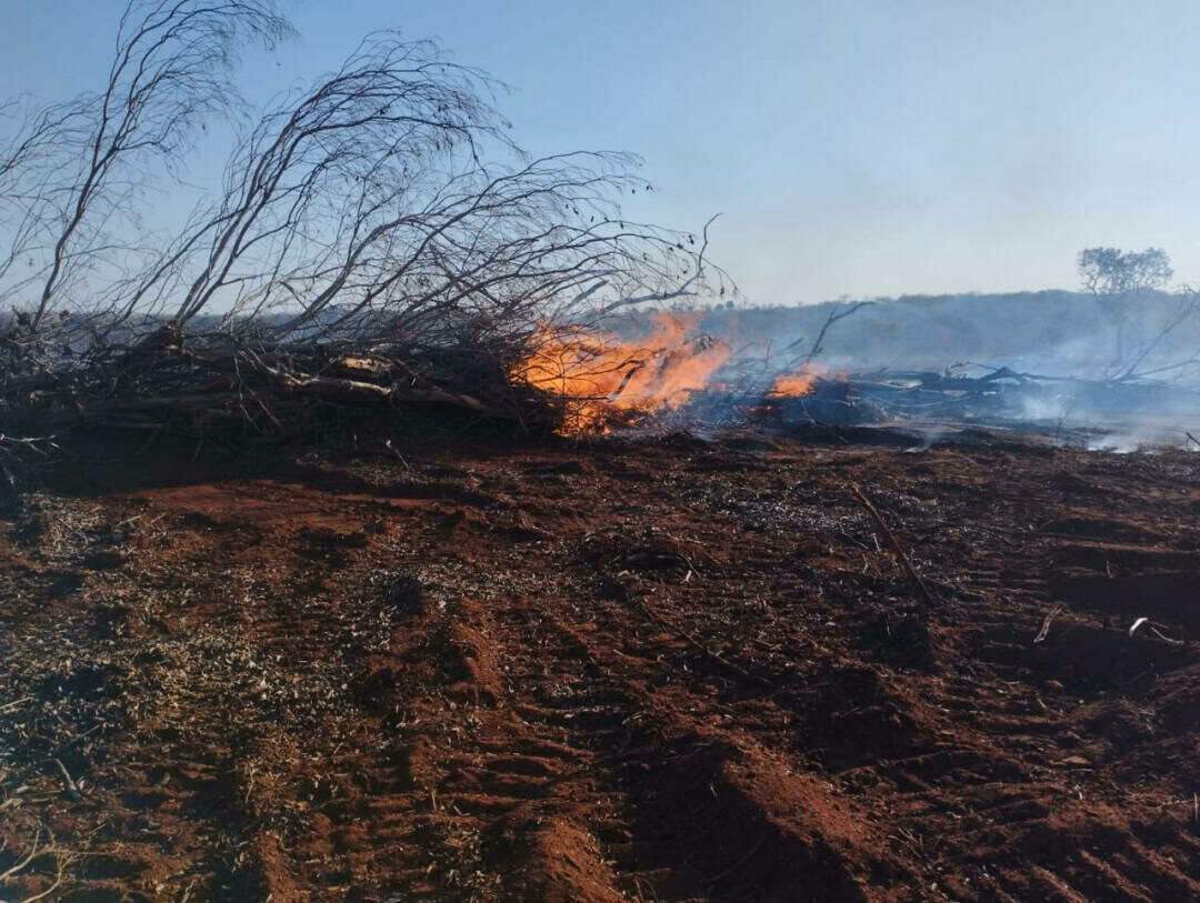 Imagem de compartilhamento para o artigo Proprietário rural é multado por uso de fogo sem autorização em Sonora da MS Todo dia