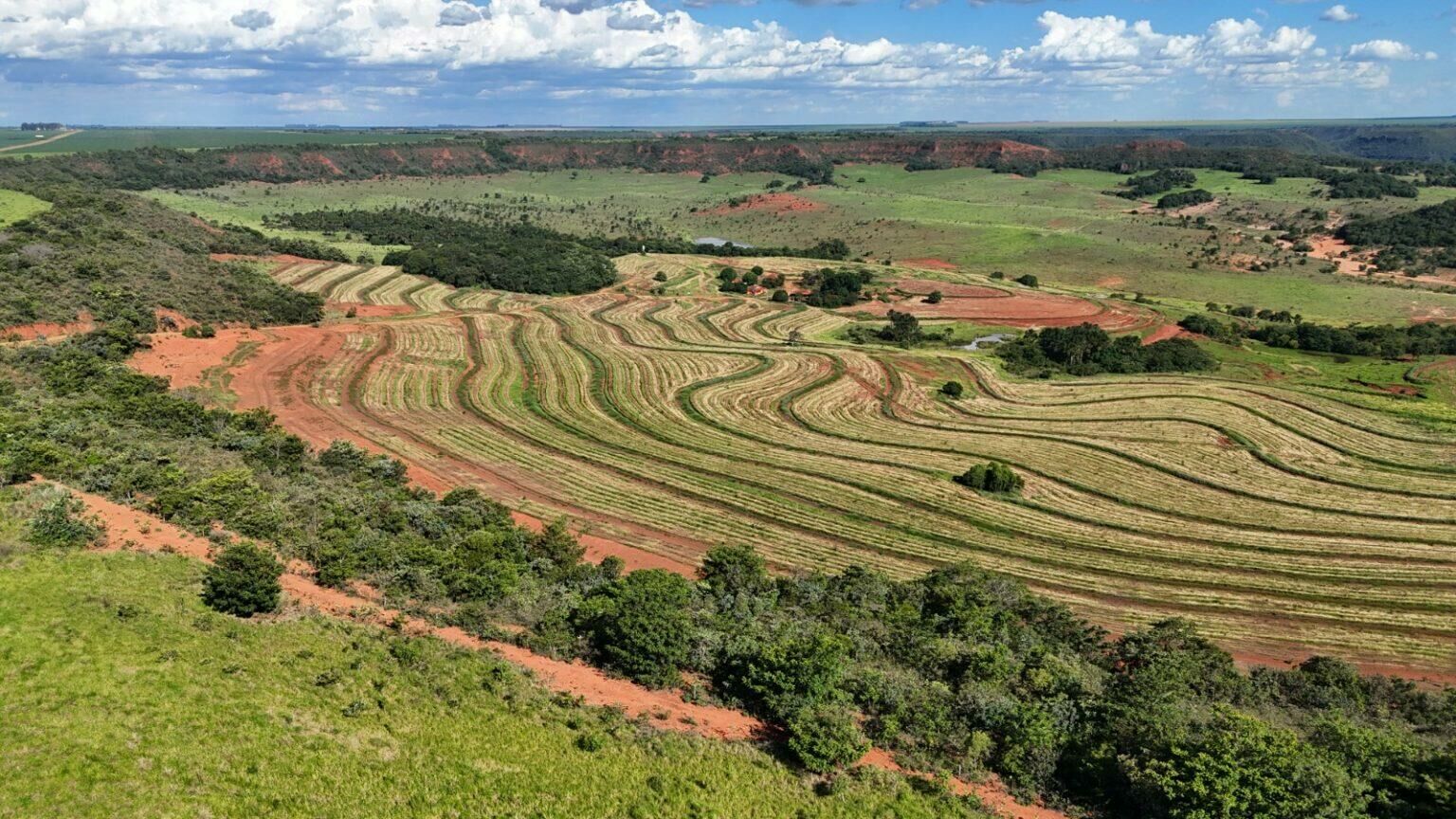 Imagem de compartilhamento para o artigo Imasul planeja plantar 270 mil mudas até fim do ano no Taquari, abrangendo partes dos territórios de Alcinópolis e Costa Rica da MS Todo dia