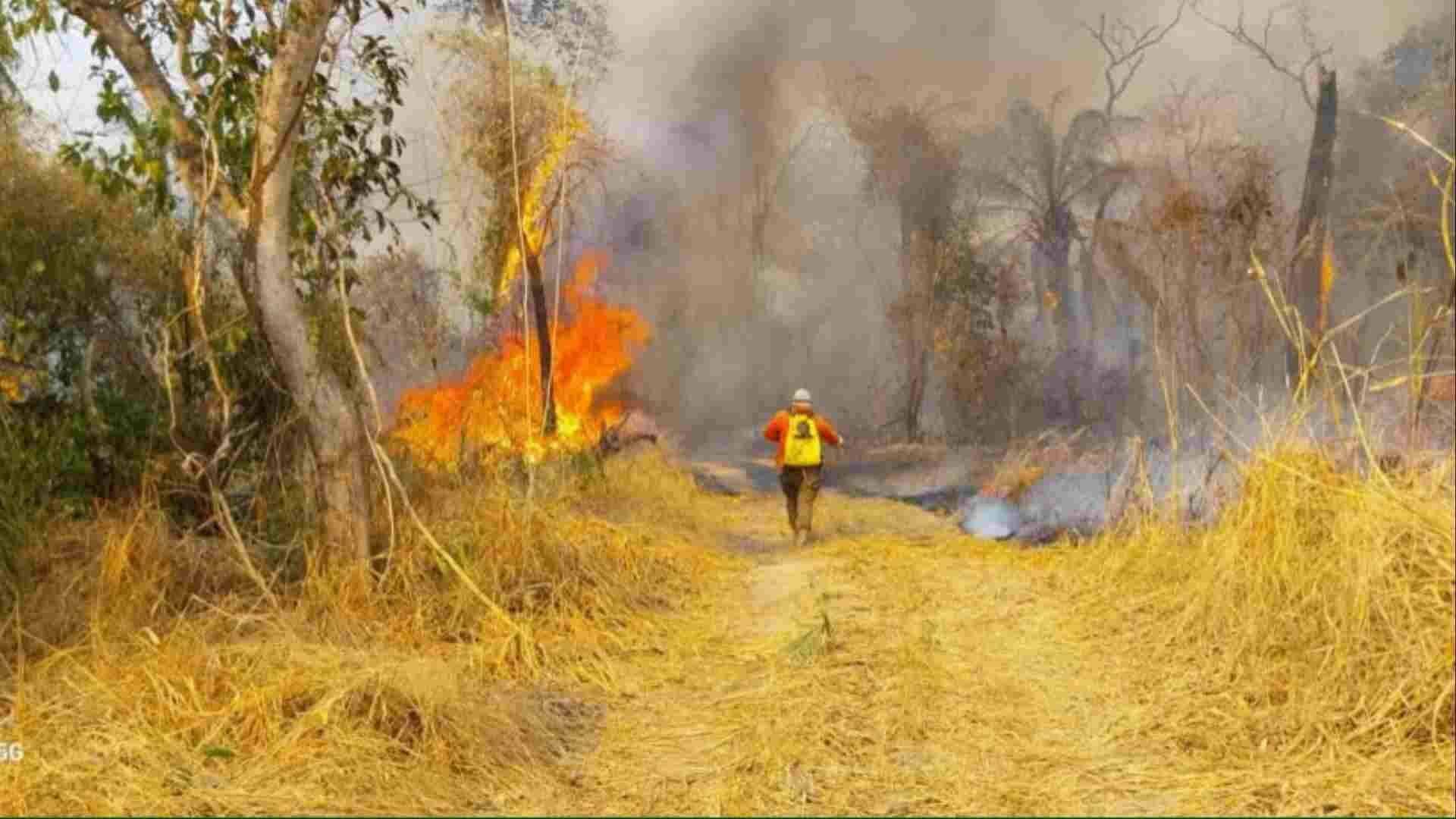 Imagem de compartilhamento para o artigo Fogo já destruiu 1,3 milhão de hectares do território de MS este ano, segundo Inpe da MS Todo dia