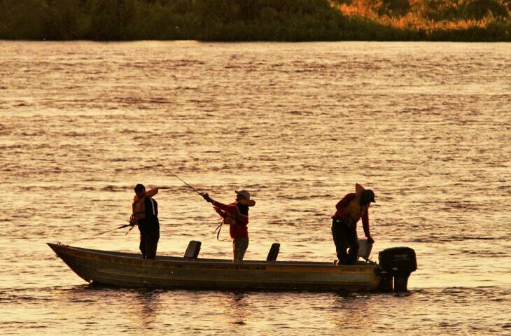Imagem de compartilhamento para o artigo Pesca proibida a partir de 5 de novembro em Mato Grosso do Sul da MS Todo dia
