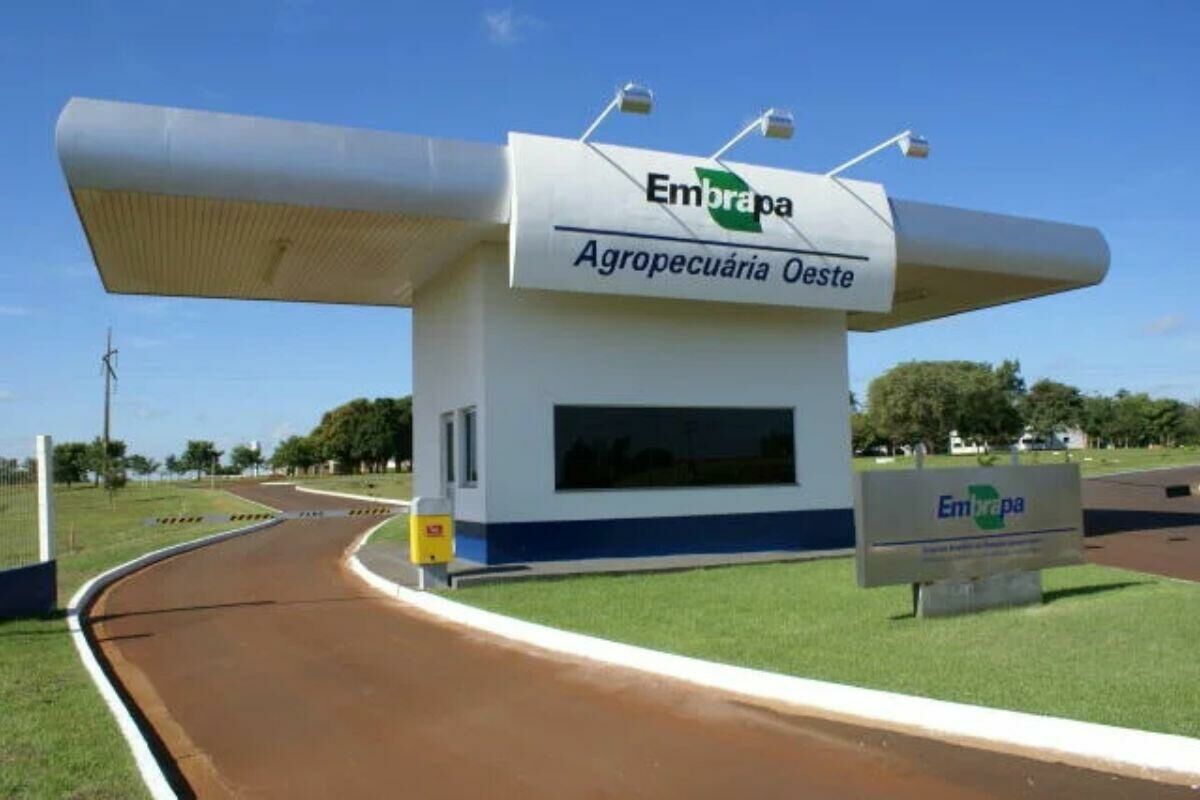 Imagem de compartilhamento para o artigo Concurso da Embrapa tem 1.027 vagas e salário de até R$12,8 mil; veja como participar da MS Todo dia