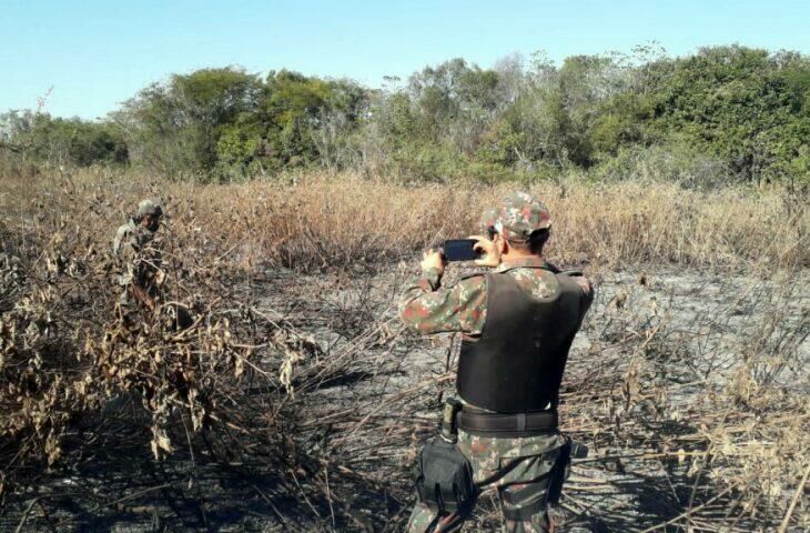 Imagem de compartilhamento para o artigo MS já aplicou R$ 54 milhões em multas por incêndios no Pantanal da MS Todo dia