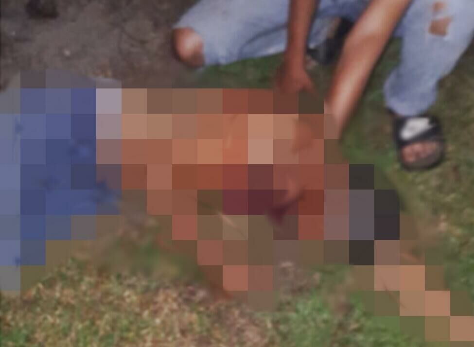Imagem de compartilhamento para o artigo Homem morre após ser baleado por capataz em fazenda no Pantanal da MS Todo dia