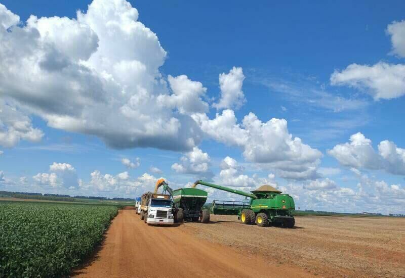 Imagem de compartilhamento para o artigo MS bate recorde e atinge R$ 78,5 bilhões no agro; soja e milho puxam crescimento da MS Todo dia