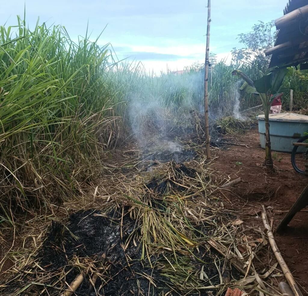 Imagem de compartilhamento para o artigo Homem é preso em flagrante por queima irregular e poluição em bairro de Cassilândia da MS Todo dia