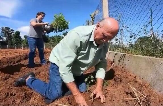 Imagem de compartilhamento para o artigo Figueirão reforça compromisso com o meio ambiente no Dia Internacional das Florestas da MS Todo dia