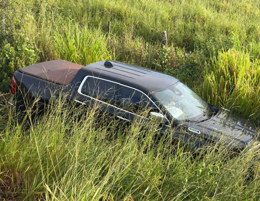 Imagem de compartilhamento para o artigo Anta provoca acidente e expõe risco constante na MS-316 entre Paraíso das Águas e Pouso Alto da MS Todo dia