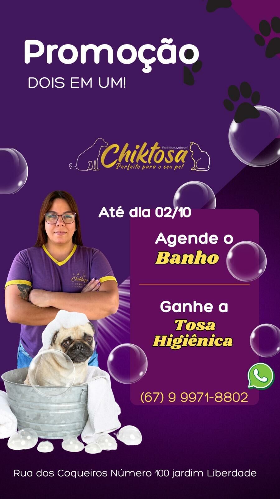 Imagem de compartilhamento para o artigo Só até quinta! Garanta promoção de banho com tosa higiênica grátis no Petshop Chiktosa da MS Todo dia