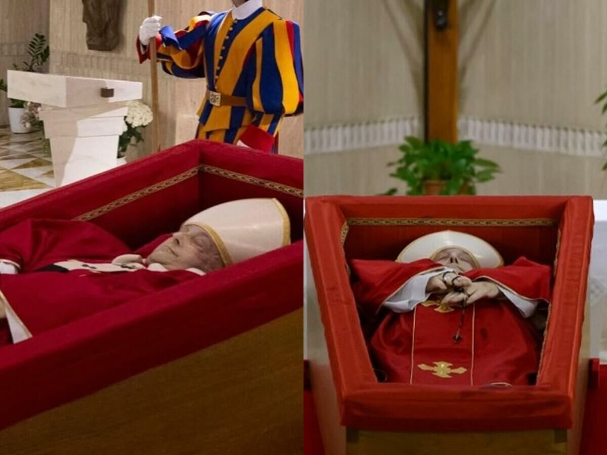 Imagem papa-velorio