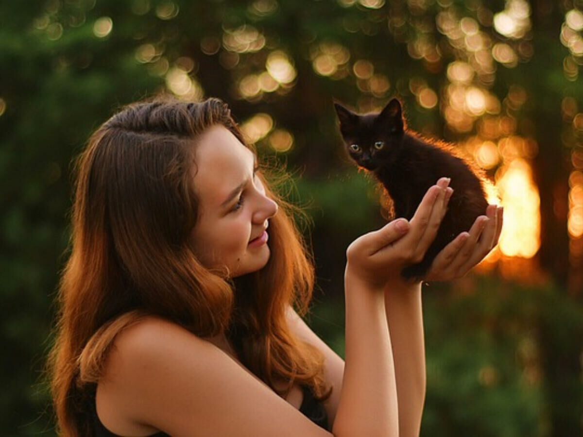 Imagem cat-dona