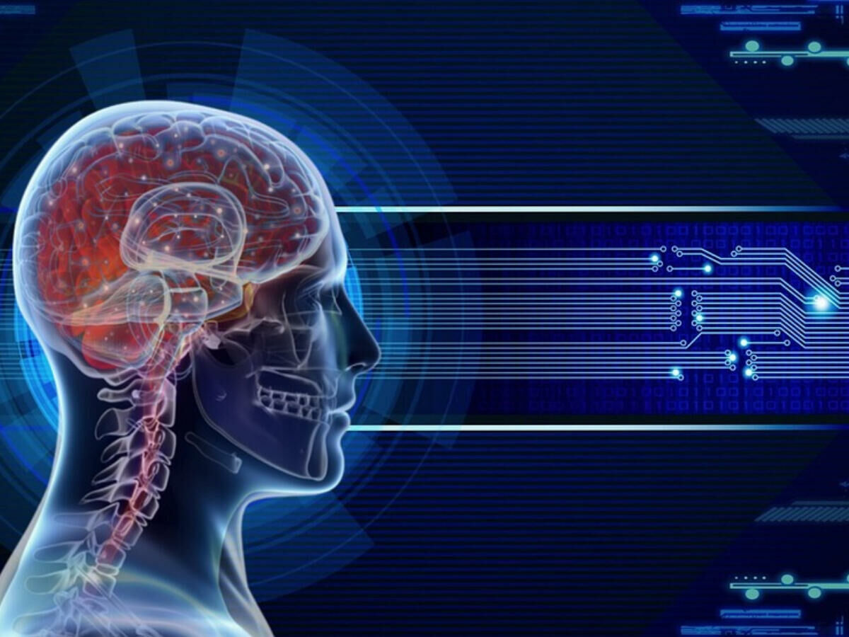 Imagem cerebro-humano