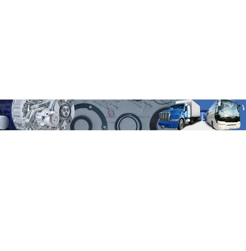 Imagem de https://cdn.interago.com.br/img/jpg/w_0_q_8/443/mc/paginas/produtos//Reparos de caixa de cambio linha pesada - imagem ilustrativa