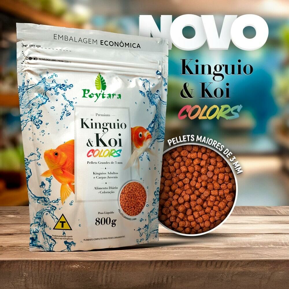 Lançamento Kinguio & Koi