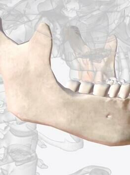 Cirurgia e Traumatologia Bucomaxilofacial