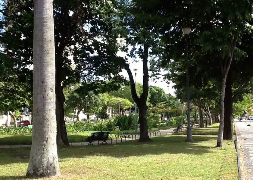 Imagem Cidade - Limpeza e Faxina - Maria Brasileira