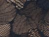 Imagem da Cor do Produto Blusa Clara - Preta - Renda, Transparência e Delicadeza em um Só Look