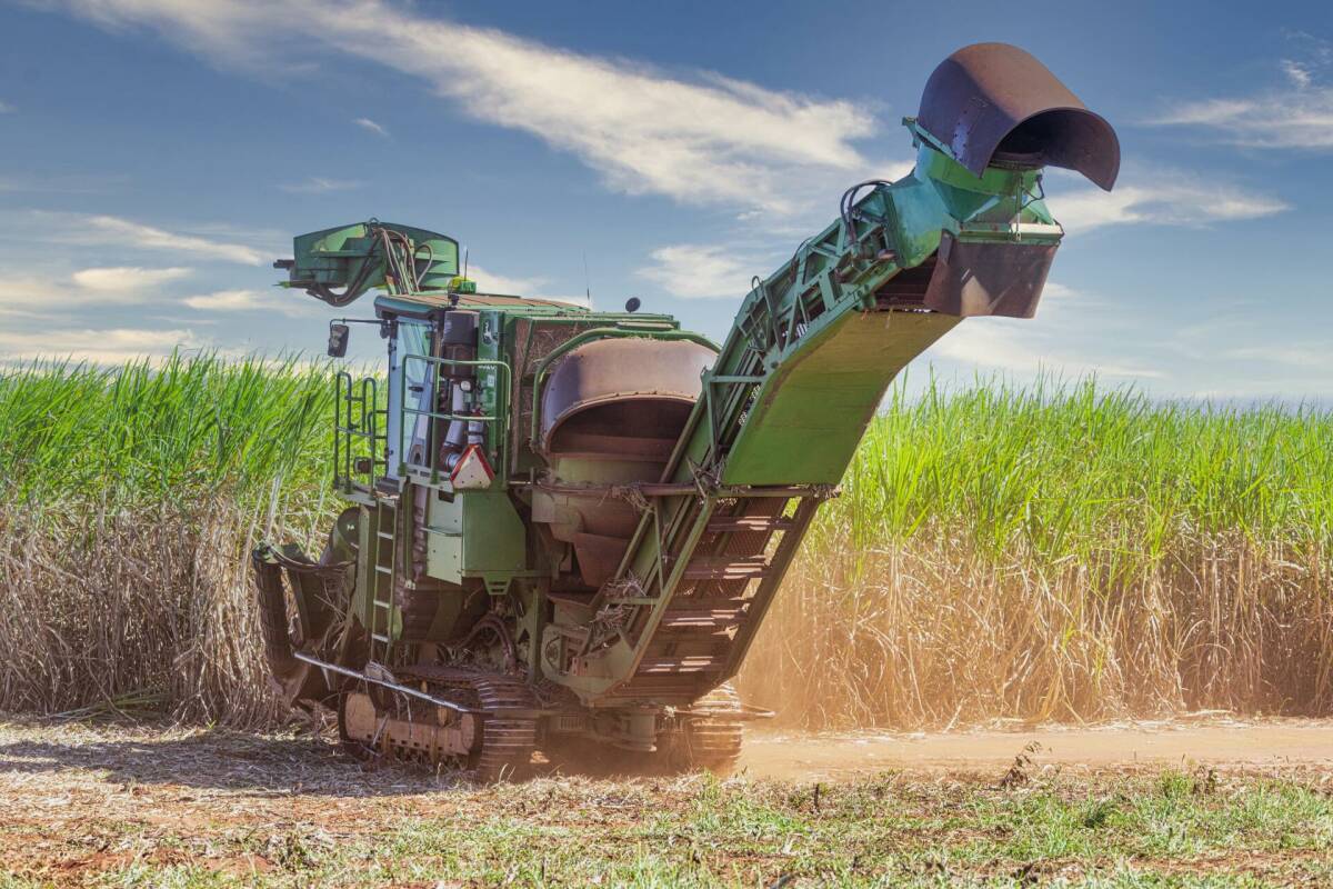 Colhedora no campo — Linha Verde GEOMAQ