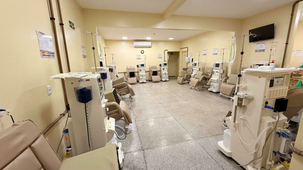 Imagem da Galeria