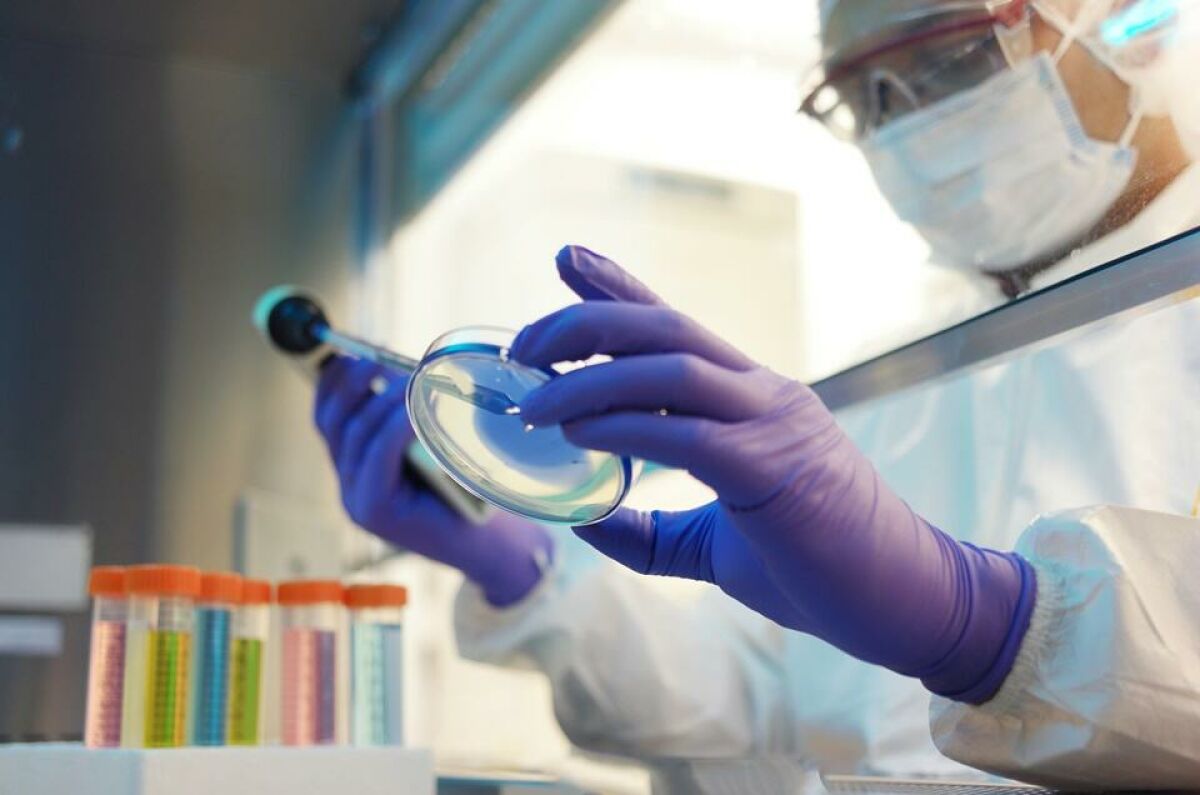 Imagem principal de Controle de Qualidade Microbiológico: Segurança em cada Lote Produzido