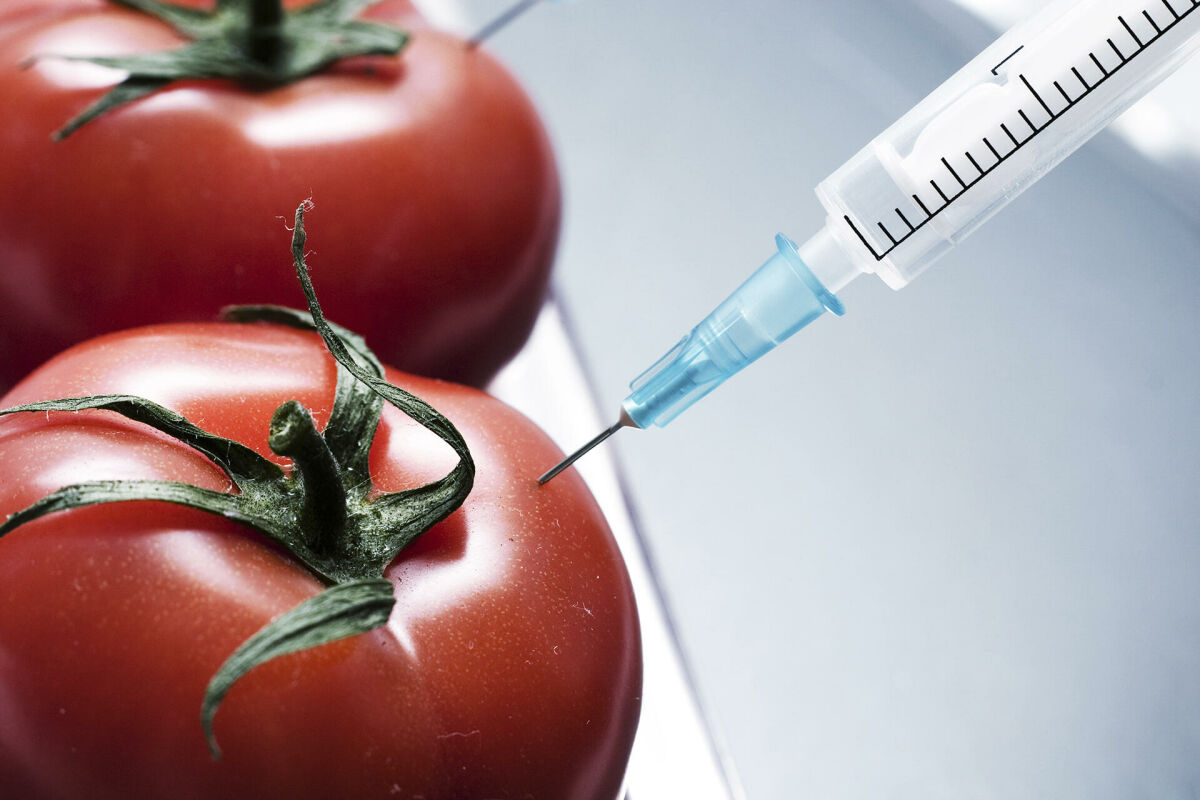 Imagem principal de Controle de Ácido Sórbico em Alimentos