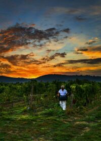 Imagem de Uma Excelência na Toscana
