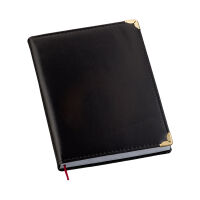 Imagem do produto AGENDA DIARIA 100L